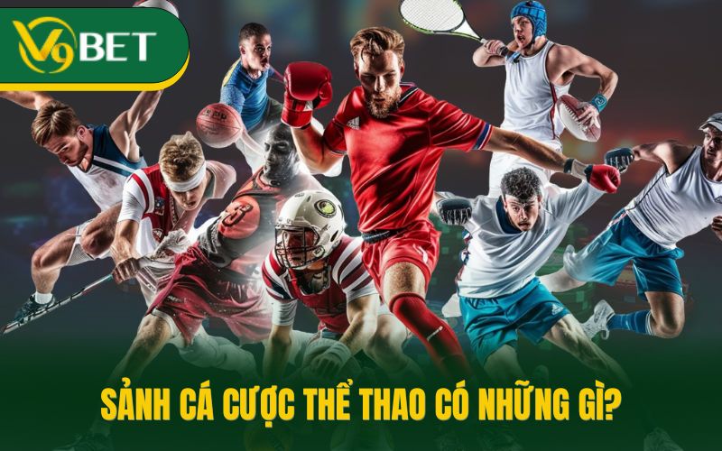 Sảnh cá cược thể thao có những gì?